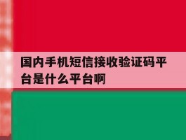 国内手机短信接收验证码平台是什么平台啊