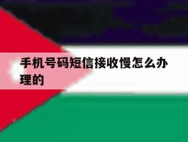 手机号码短信接收慢怎么办理的