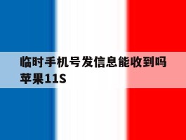 临时手机号发信息能收到吗苹果11S的简单介绍