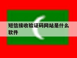 短信接收验证码网站是什么软件