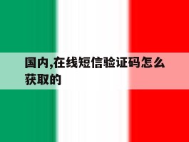 国内,在线短信验证码怎么获取的