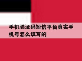 手机验证码短信平台真实手机号怎么填写的