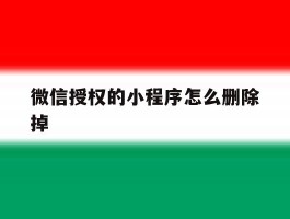 微信授权的小程序怎么删除掉