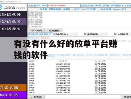 有没有什么好的放单平台赚钱的软件