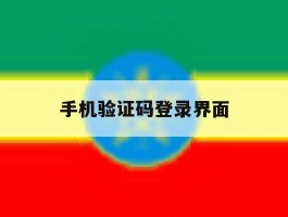 手机验证码登录界面