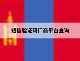 短信验证码厂商平台查询