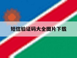 短信验证码大全图片下载