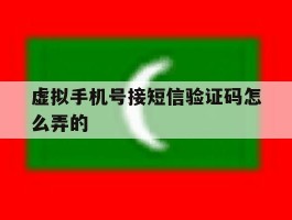 虚拟手机号接短信验证码怎么弄的