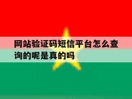 关于网站验证码短信平台怎么查询的呢是真的吗的信息