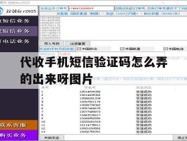 代收手机短信验证码怎么弄的出来呀图片的简单介绍