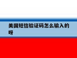美国短信验证码怎么输入的呀