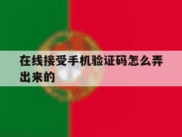 在线接受手机验证码怎么弄出来的