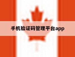 关于手机验证码管理平台app的信息