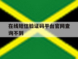 在线短信验证码平台官网查询不到