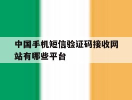 中国手机短信验证码接收网站有哪些平台