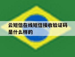 云短信在线短信接收验证码是什么样的