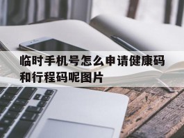 包含临时手机号怎么申请健康码和行程码呢图片的词条