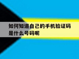 如何知道自己的手机验证码是什么号码呢