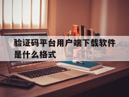验证码平台用户端下载软件是什么格式