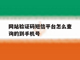 网站验证码短信平台怎么查询的到手机号