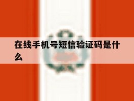 在线手机号短信验证码是什么