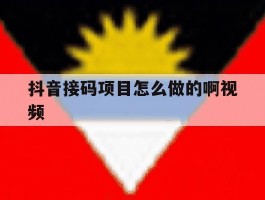 抖音接码项目怎么做的啊视频