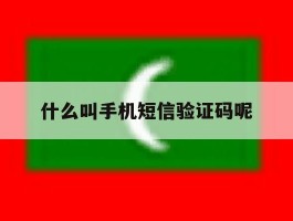 什么叫手机短信验证码呢