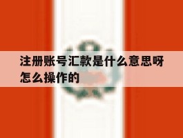 注册账号汇款是什么意思呀怎么操作的