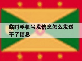 临时手机号发信息怎么发送不了信息