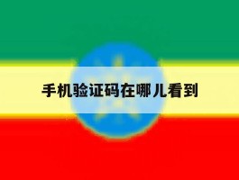 手机验证码在哪儿看到