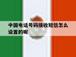 中国电话号码接收短信怎么设置的呢