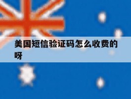 美国短信验证码怎么收费的呀