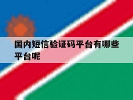 国内短信验证码平台有哪些平台呢