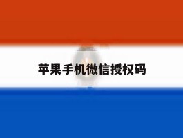 苹果手机微信授权码