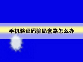 手机验证码骗局套路怎么办