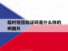 临时短信验证码是什么样的啊图片