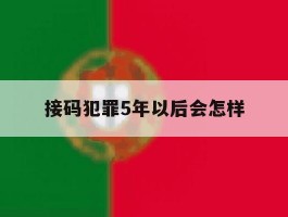 接码犯罪5年以后会怎样