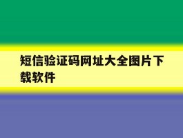 短信验证码网址大全图片下载软件