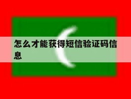 怎么才能获得短信验证码信息