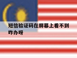 短信验证码在屏幕上看不到咋办呀