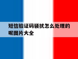 短信验证码骚扰怎么处理的呢图片大全的简单介绍