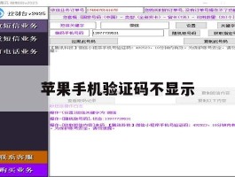 苹果手机验证码不显示
