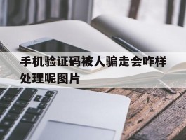 手机验证码被人骗走会咋样处理呢图片