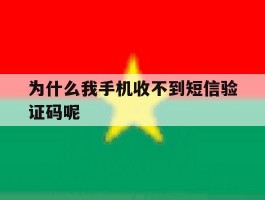 为什么我手机收不到短信验证码呢