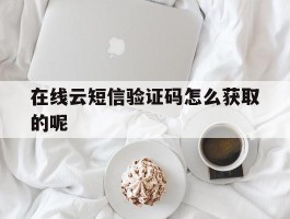在线云短信验证码怎么获取的呢