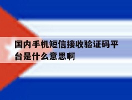 国内手机短信接收验证码平台是什么意思啊