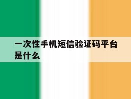 一次性手机短信验证码平台是什么
