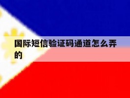 国际短信验证码通道怎么弄的