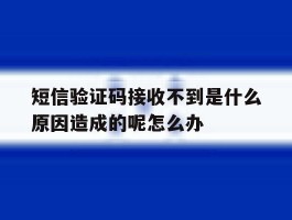 包含短信验证码接收不到是什么原因造成的呢怎么办的词条