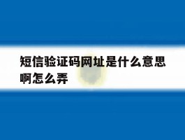 短信验证码网址是什么意思啊怎么弄